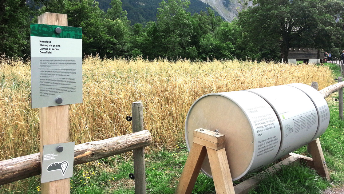 Korn und Brot - Ausstellung - 1